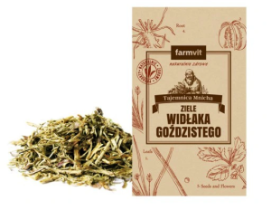 Widłak goździsty ziele