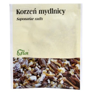 Mydlnica korzeń