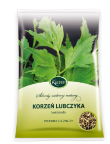 Lubczyk korzeń