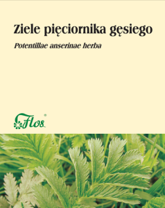Pięciornik gęsi ziele