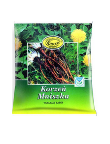 Mniszek korzeń