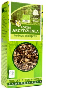 Arcydzięgiel korzeń