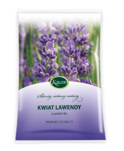 Lawenda kwiat