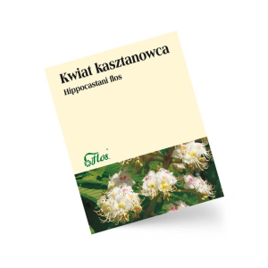 Kasztanowiec kwiat 