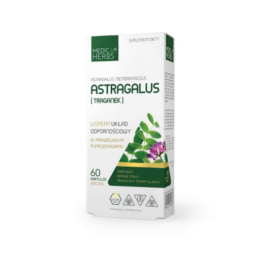 Astragalus-nowy-3.jpg