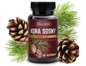 Skoczylas Kora sosny z l-argininą 60kaps