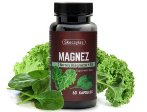 Skoczylas Magnez 4 formy +B6 60kaps.
