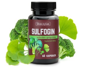 SKOCZYLAS Sulfogin sulforafan+ginkgo biloba 60kaps