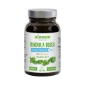 rhodiola-rosea-suplement.webp
