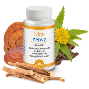 Silne Nerwy 100kaps Dr Jacobs