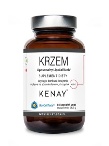 KENAY Krzem Liposom.LipoCellTech 60kaps.